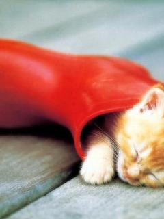 Other Wallpapers 0722